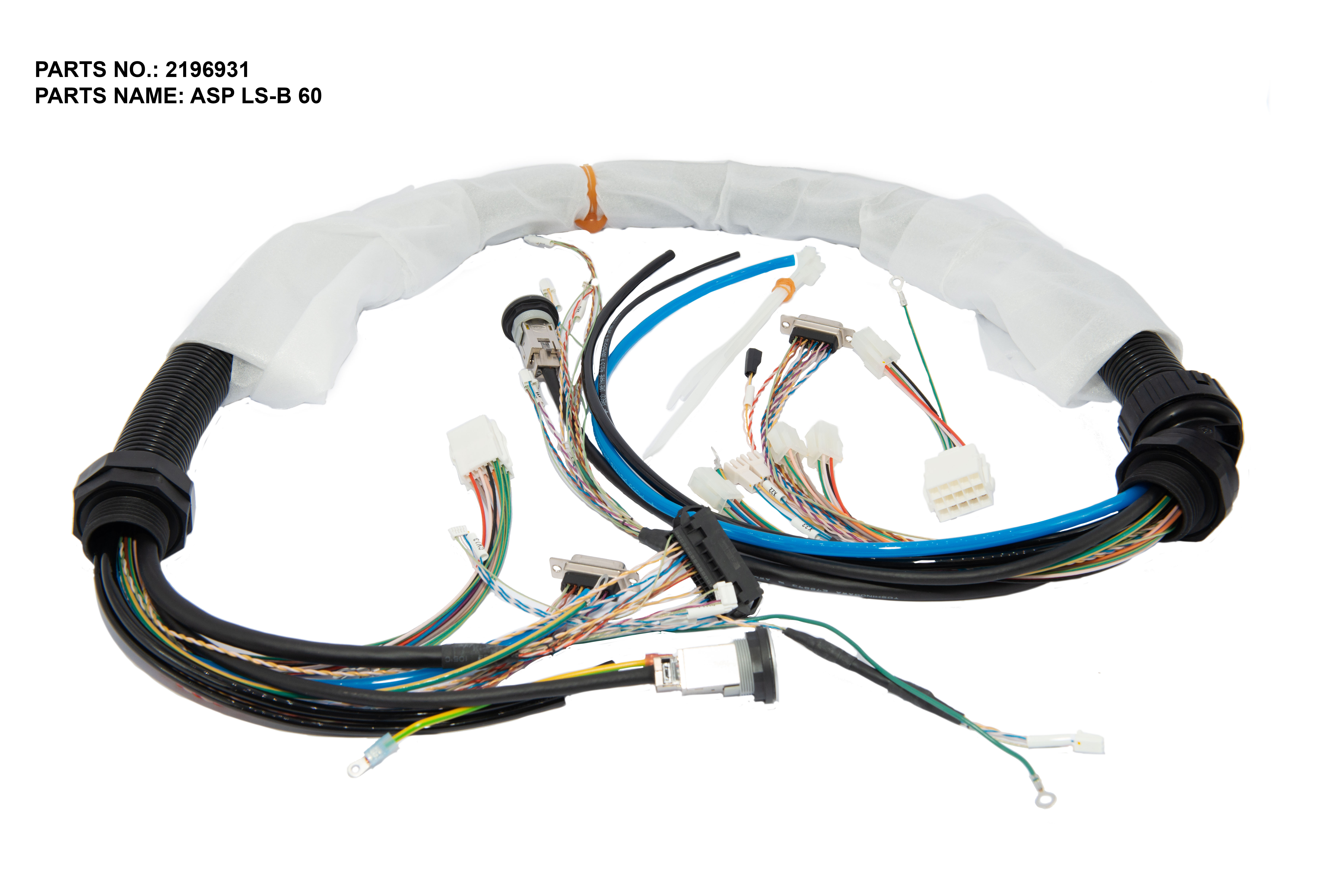 2196931.jpg 2196931.jpg