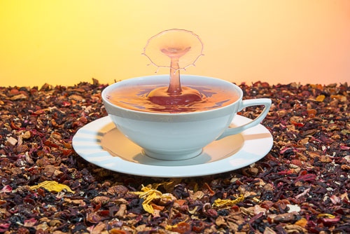 _DEC0777-Bearbeitet.jpg _DEC0777-Bearbeitet.jpg