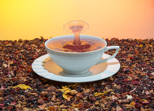 _DEC0780-Bearbeitet.jpg _DEC0780-Bearbeitet.jpg