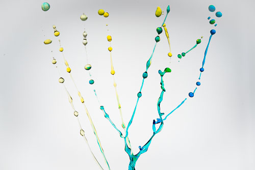 _DEC2126-Bearbeitet.jpg _DEC2126-Bearbeitet.jpg