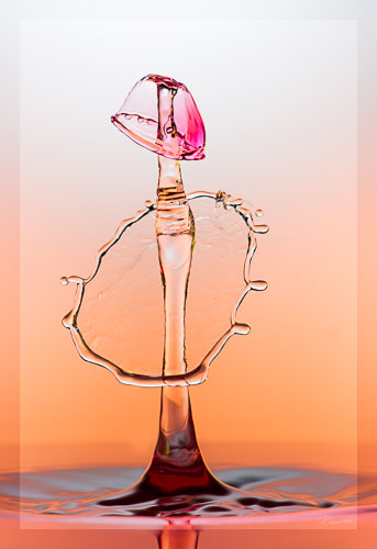 _DEC3892-Bearbeitet.jpg _DEC3892-Bearbeitet.jpg