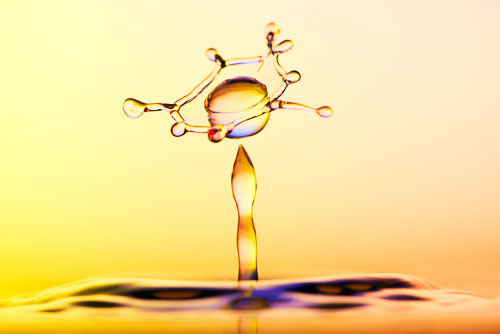 _DEC4293-Bearbeitet.jpg _DEC4293-Bearbeitet.jpg