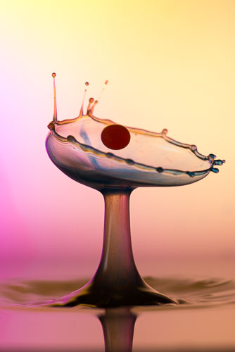 _DEC4932-Bearbeitet.jpg _DEC4932-Bearbeitet.jpg