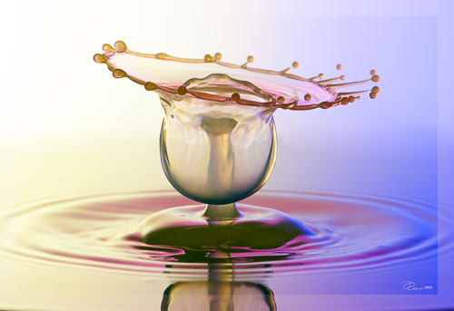 _DEC5173-Bearbeitet.jpg _DEC5173-Bearbeitet.jpg