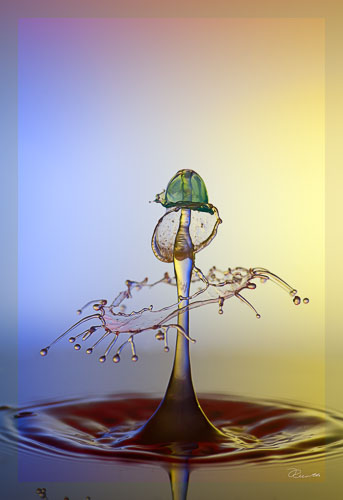 _DEC6008-Bearbeitet.jpg _DEC6008-Bearbeitet.jpg