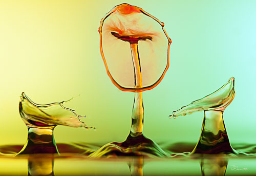 _DEC6941-Bearbeitet.jpg _DEC6941-Bearbeitet.jpg