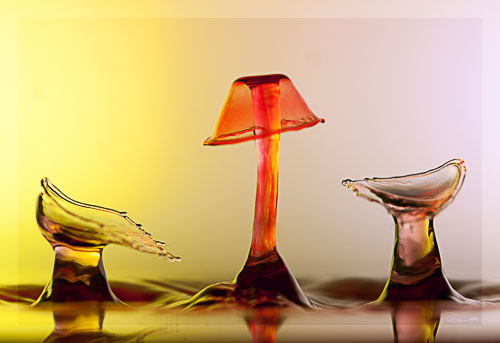 _DEC6991-Bearbeitet.jpg _DEC6991-Bearbeitet.jpg