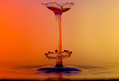 _DEC7249-Bearbeitet.jpg _DEC7249-Bearbeitet.jpg