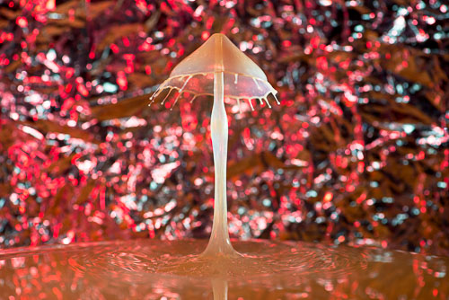 _DEC9950-Bearbeitet1.jpg _DEC9950-Bearbeitet1.jpg