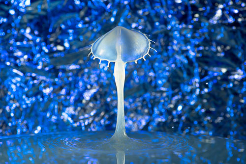 _DEC9952-Bearbeitet1.jpg _DEC9952-Bearbeitet1.jpg